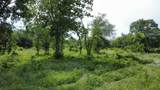 Lot 29 Twisted Creek Drive - Photo 9