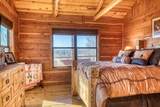 3151 Orth - Photo 11