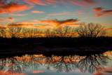 3151 Orth - Photo 34