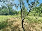 Lot 6 Morris Sheppard Drive - Photo 3