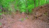6500 Barrel Springs Road - Photo 5