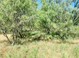 Lot 11 Morris Sheppard Drive - Photo 6