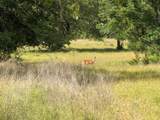 387 Cr 1627 Avenue - Photo 20