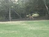 333 Lubbock Drive - Photo 5