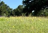 Lot 1 County Road 3186 - Photo 20