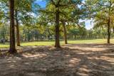 221 Colonial Drive - Photo 3