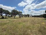 10131 Horizon View - Photo 1
