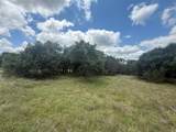 10131 Horizon View - Photo 10