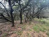 10131 Horizon View - Photo 11