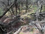 10131 Horizon View - Photo 12