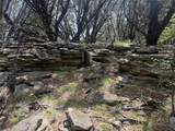10131 Horizon View - Photo 13
