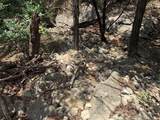 10131 Horizon View - Photo 14