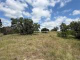10131 Horizon View - Photo 16