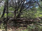 10131 Horizon View - Photo 17