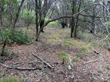 10131 Horizon View - Photo 18
