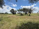 10131 Horizon View - Photo 19