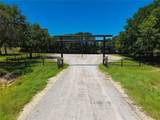 10131 Horizon View - Photo 26