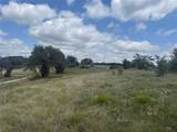 10131 Horizon View - Photo 6
