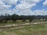 10131 Horizon View - Photo 7