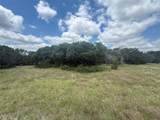 10131 Horizon View - Photo 9
