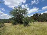 10151 Horizon View - Photo 13