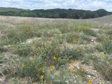 10151 Horizon View - Photo 14