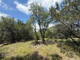10151 Horizon View - Photo 2