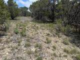 10151 Horizon View - Photo 6
