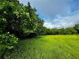16 ACRES FM 1655 Cr-1460 - Photo 13