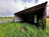 16 ACRES FM 1655 Cr-1460 - Photo 21