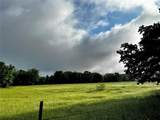 16 ACRES FM 1655 Cr-1460 - Photo 24
