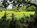 16 ACRES FM 1655 Cr-1460 - Photo 28