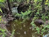 16 ACRES FM 1655 Cr-1460 - Photo 29