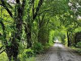 16 ACRES FM 1655 Cr-1460 - Photo 30