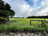 16 ACRES FM 1655 Cr-1460 - Photo 31