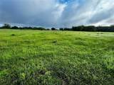 16 ACRES FM 1655 Cr-1460 - Photo 33