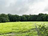 16 ACRES FM 1655 Cr-1460 - Photo 35