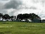 16 ACRES FM 1655 Cr-1460 - Photo 5
