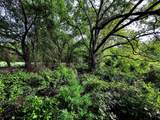 16 ACRES FM 1655 Cr-1460 - Photo 6