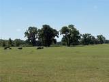 2966 Highway 679 - Photo 1