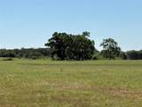2966 Highway 679 - Photo 10