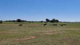 2966 Highway 679 - Photo 16