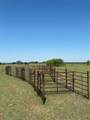 2966 Highway 679 - Photo 19