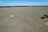 2966 Highway 679 - Photo 21
