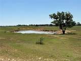 2966 Highway 679 - Photo 5