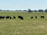 2966 Highway 679 - Photo 9