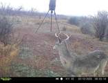 439 County Road 321 - Photo 37