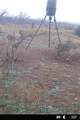 439 County Road 321 - Photo 38