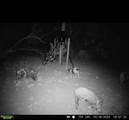 439 County Road 321 - Photo 40