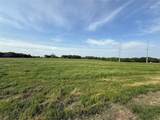 235 Wildflower Way - Photo 9